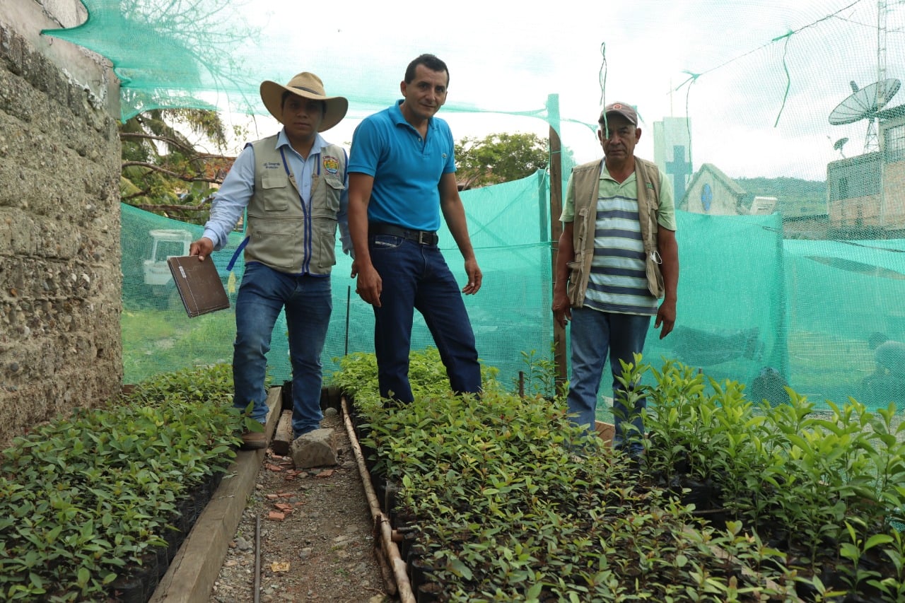 GOBIERNO LOCAL DE HUARANGO FOMENTA PRODUCCIÓN DE CAFÉ