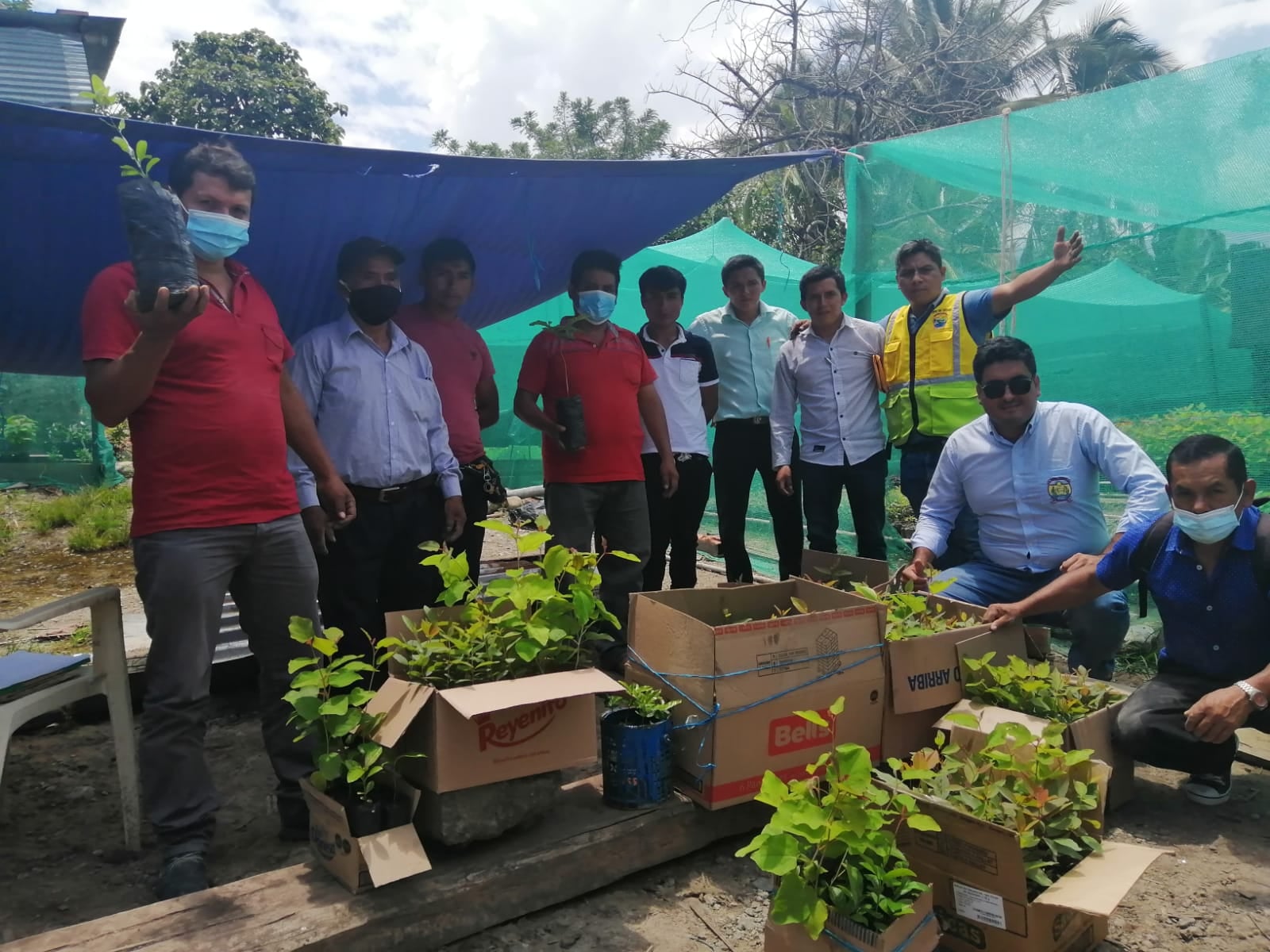 REFORESTACIÓN Y AGRICULTURA, PRIORIDAD PARA EL GOBIERNO LOCAL DE HUARAN